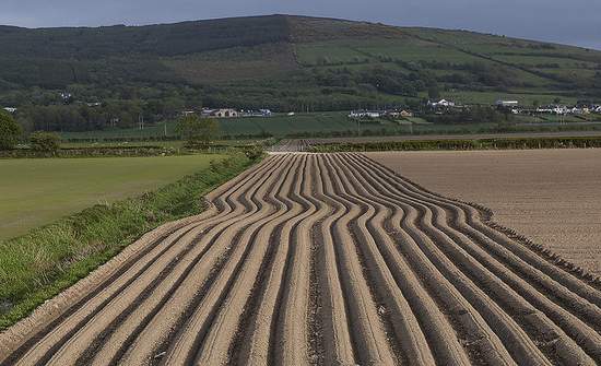 Ploughed Field in County Donegal | Irish American Mom Ploughed Field in County Donegal