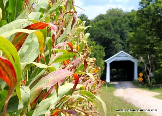 A corn field beside a covered bridge