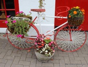 Flowers planted in a decorative metal bicycle flower planter
