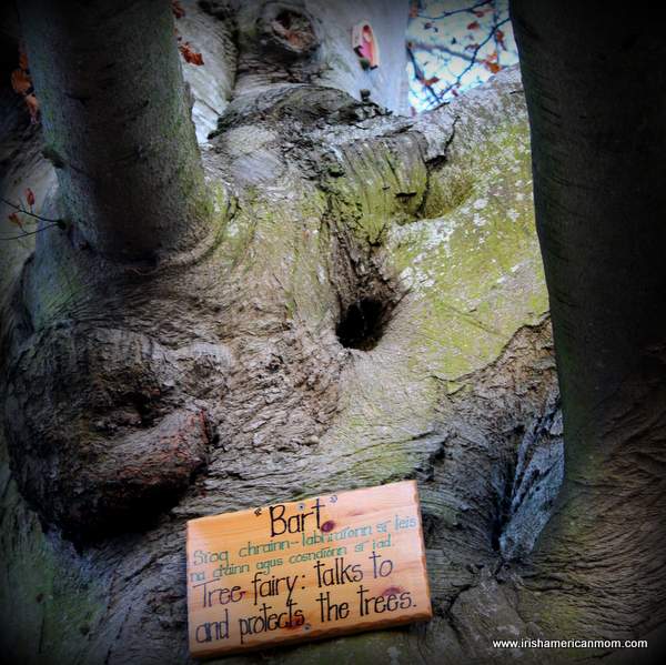 Fairy portal in the woods | Irish American Mom Fairy portal in the woods