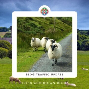 Sheep on a road with a border and text