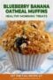 Blueberry and oatmeal muffin in a foil case with text banners.