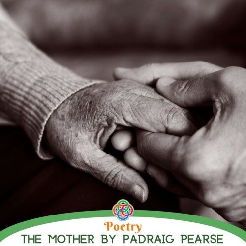 Hands holding each other with text banner