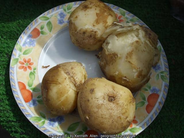 Irish floury potatoes - good Irish spuds