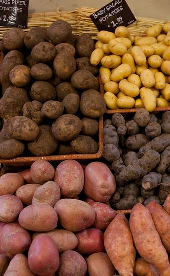 Selection of Irish potatoes