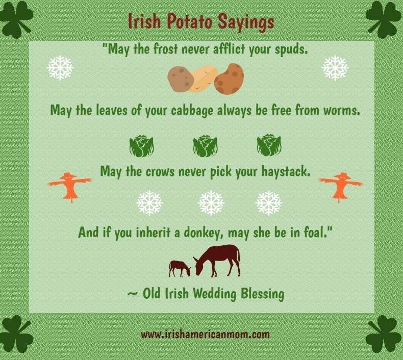 frost-afflict-your-spuds | Irish American Mom Green logo featuring text, potatoes, donkeys and scarecrows