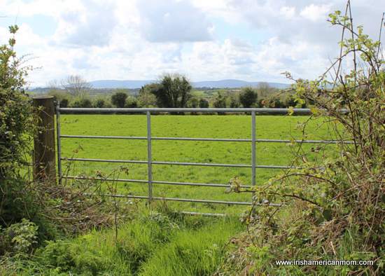 An Irish Farm Gate Painted Silver | Irish American Mom An Irish Farm Gate