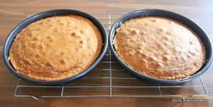 Two sponge sandwich layers in baking pans just out of the oven