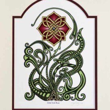 A Celtic knotwork wild Irish rose art piece