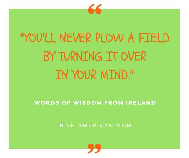 You'll never plow a field by turning it over in your mind. | Irish American Mom Text graphic