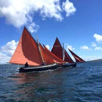 Red sails on boats in the ocean