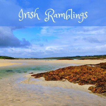 A sandy beach with seaweed and text overlay