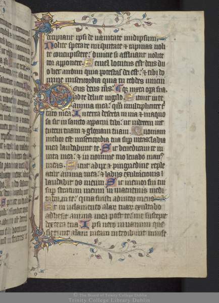 Old Irish 14th Century Manuscript | Irish American Mom Text on an illustrated vellum manuscript page