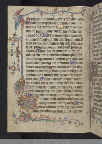 Monastic Artwork and Scribing from Ireland | Irish American Mom Text on an illustrated vellum manuscript page