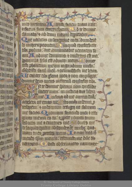 Old Irish Manuscript | Irish American Mom Text on an illustrated vellum manuscript page