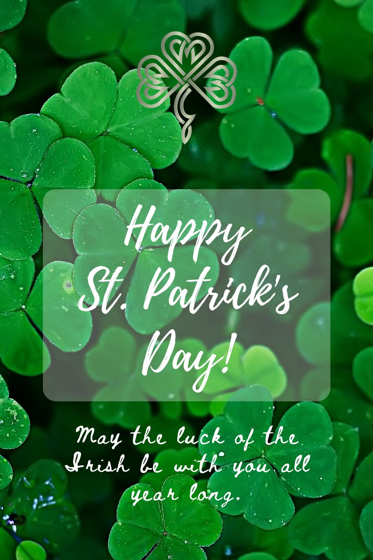 Green shamrock background with overlay text reading “Happy St. Patrick’s Day! May the luck of the Irish be with you all year long.” Decorative shamrock emblem at the top.