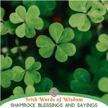 Close-up image of green shamrock leaves with the text “Irish Words of Wisdom – Shamrock Blessings and Sayings” and Irish American Mom branding at the bottom.