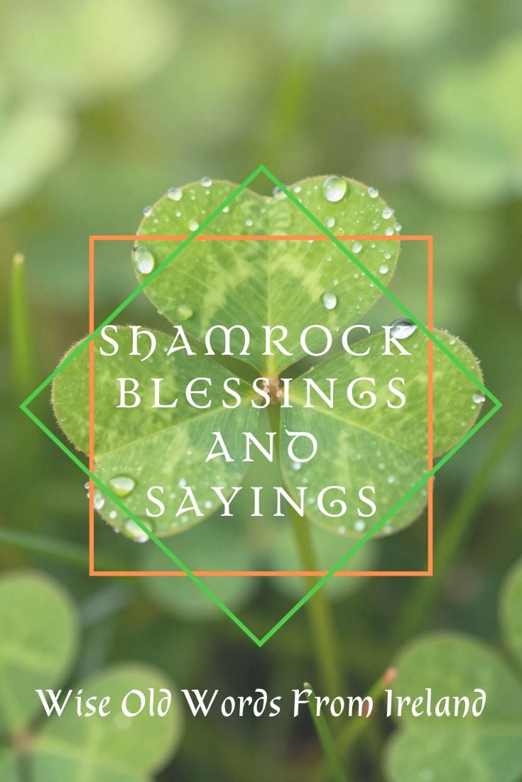 Close-up photograph of a green shamrock covered in dew drops with overlay text reading “Shamrock Blessings and Sayings – Wise Old Words From Ireland.” The design features a soft green background and simple geometric frames around the text.
