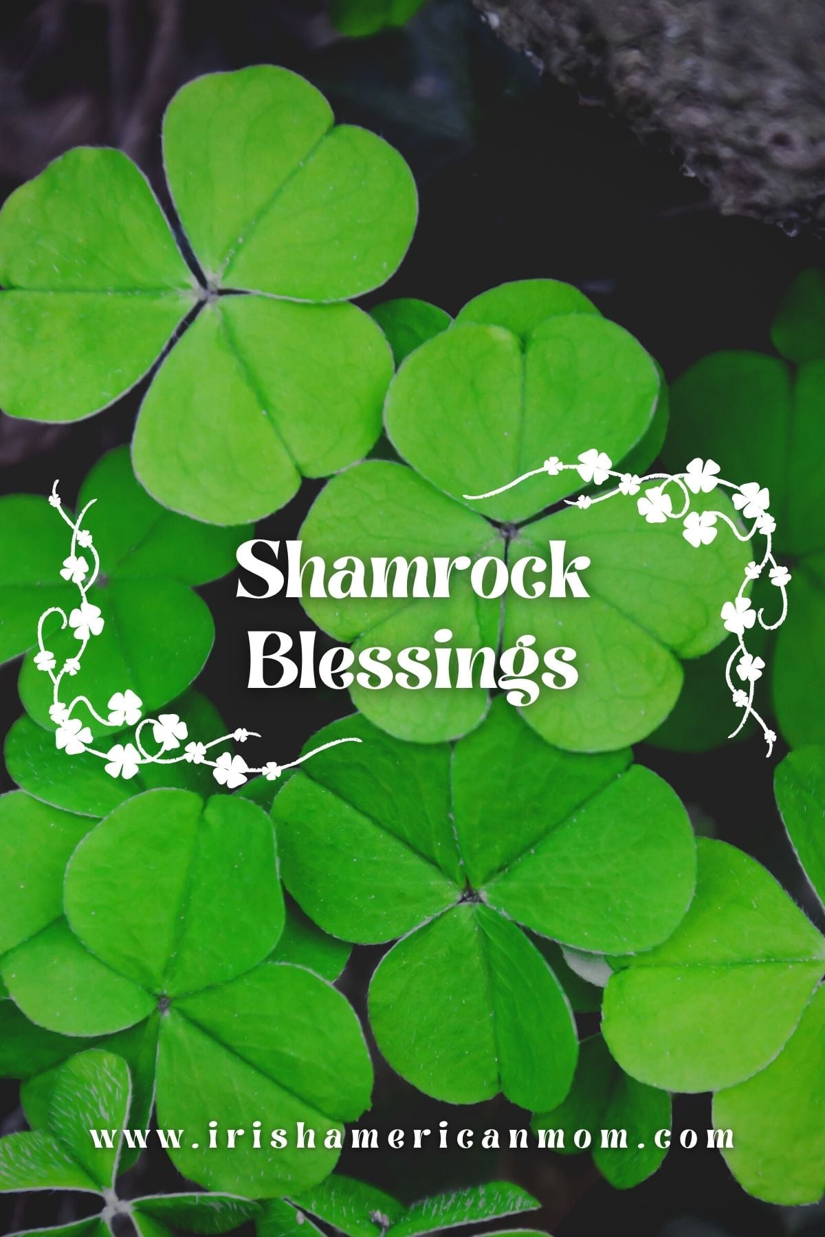 Close-up photograph of bright green shamrock leaves with white decorative vine accents and the words “Shamrock Blessings” centered on the image. Website irishamericanmom.com appears at the bottom.