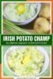 Two bowls of Irish potato champ made with creamy mashed potatoes, scallions, and a pat of melting butter, with whole potatoes and green onions nearby with a central text banner with a green background and white typography.