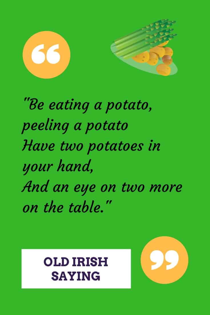 Irish Potato Sayings Irish American Mom