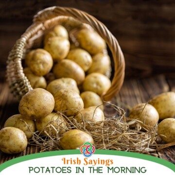 Potatoes in a basket with a text banner