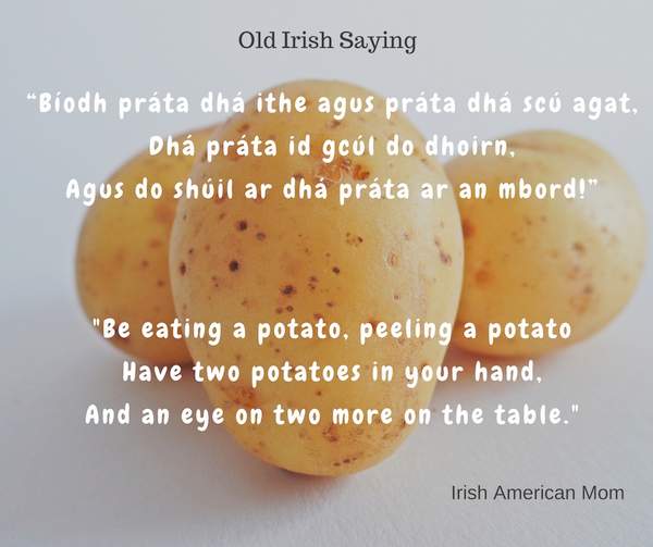 “Bíodh práta dhá ithe agus práta dhá scú agat,Dhá práta id gcúl do dhoirn,Agus do shúil ar dhá práta ar an mbord!” | Irish American Mom text over an image of potatoes