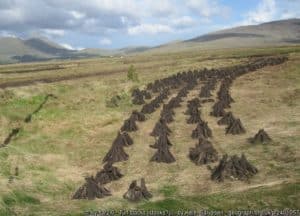 Irish Turf Giveaway