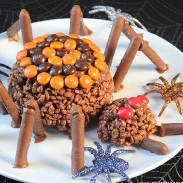 Chocolate rice crispie spider with chocolate legs on a plate