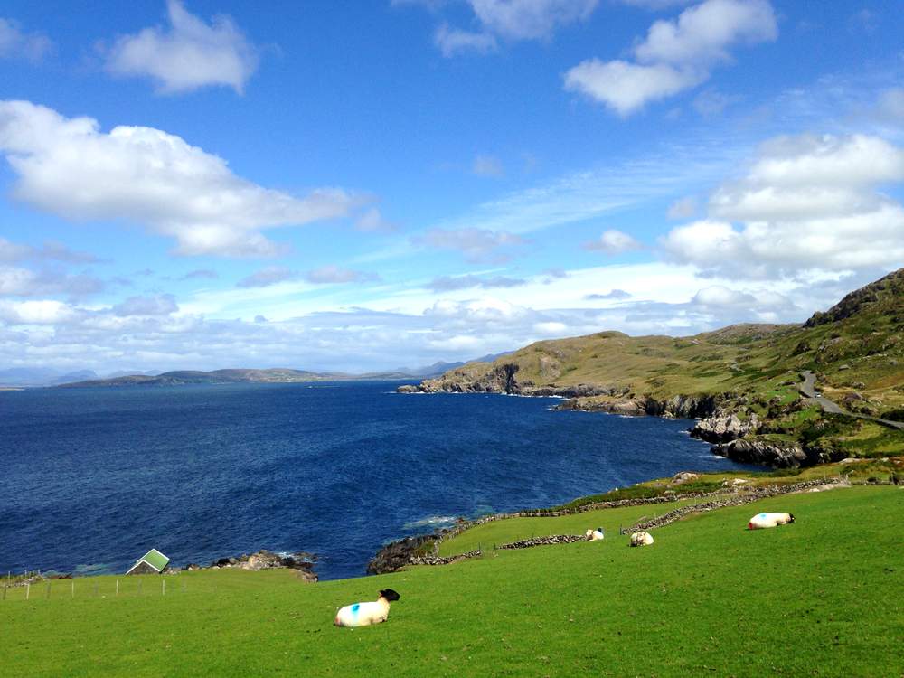 View of the Atlantic ocean from the Sheepshead Peninsula in County Cork Ireland | Irish American Mom A herd of sheep grazing on a lush green field