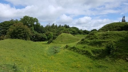 A close up of a lush green field