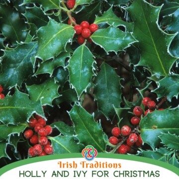 Holly with berries and text banner