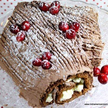 A piece of chocolate cake on a plate