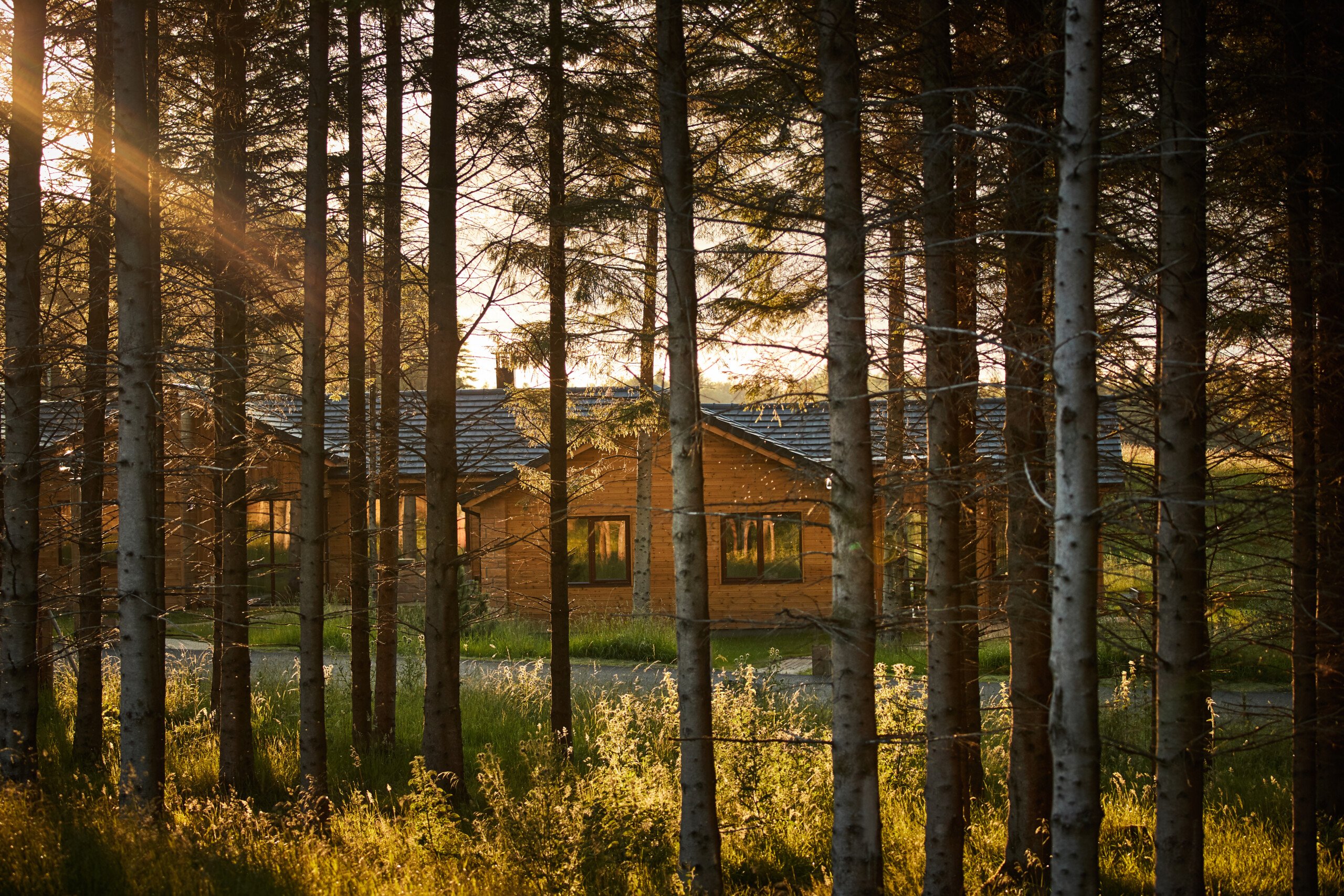 Wooden lodge in a forest