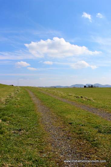 A right of way or boreen running across a mountain top in Ireland | Irish American Mom A close up of a lush green field