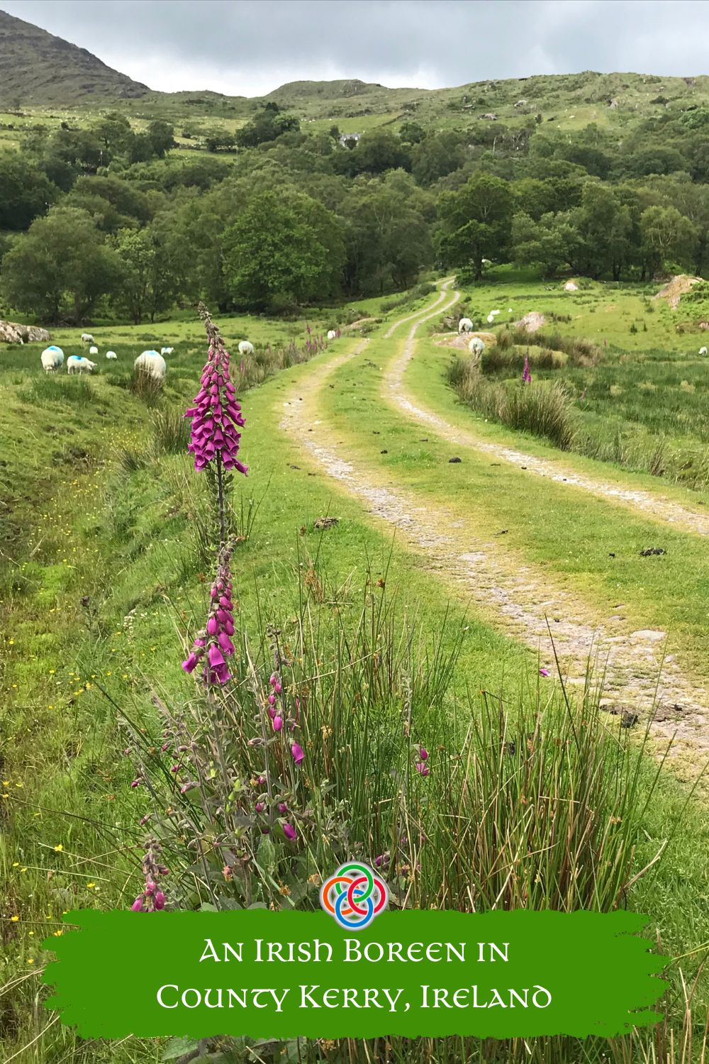 An Irish Boreen in County Kerry Ireland | Irish American Mom A rural road with text banner