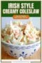 Single-image poster of Irish Style Creamy Coleslaw in a blue and white bowl with a text banner in green and amber with cream colored text overlay.