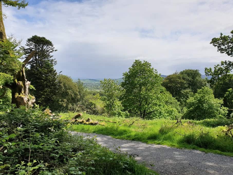 Tree and Forest