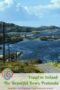 Scenic coastal road overlooking rugged shoreline and blue ocean on the Beara Peninsula in County Cork, Ireland.