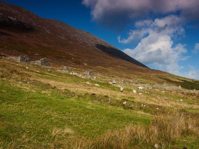 Ruined stone cottages standing in a row on the slopes of a heather clad mountain.