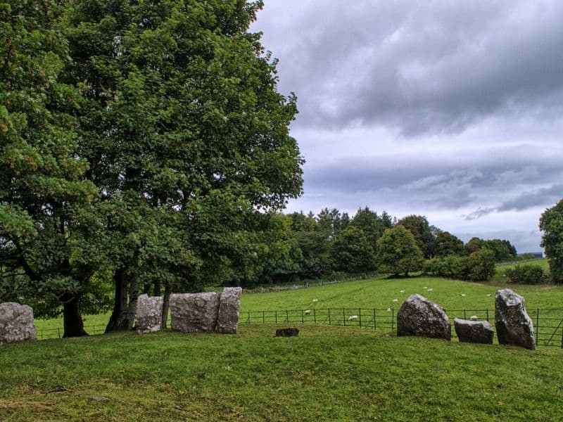 A large tree beside a circle of stones in a green field