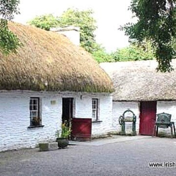 A yellow thatched roof on a white washed cottage beside a thatched shed with a red door