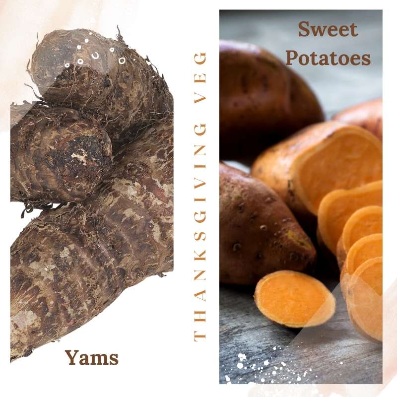 Sweet potatoes and yams | Irish American Mom A two image photo collage showing dark thick skinned yams to the left and lighter skinned, orange fleshed sweet potatoes to the right