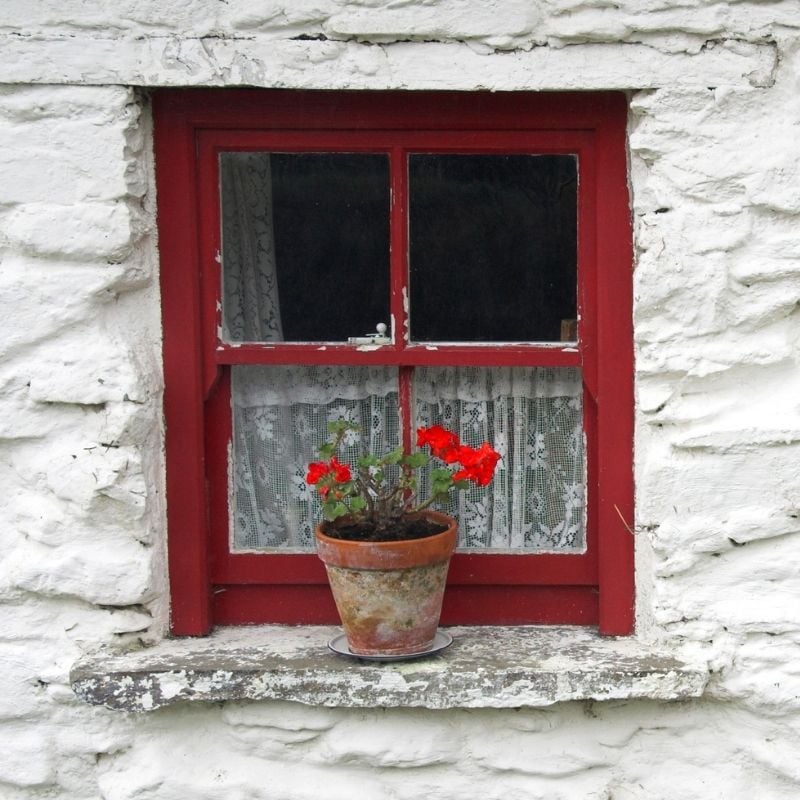 A red cottage window with lace curtain | Irish American Mom A red cottage window in a white stone wall with a flower in a pot on the sill