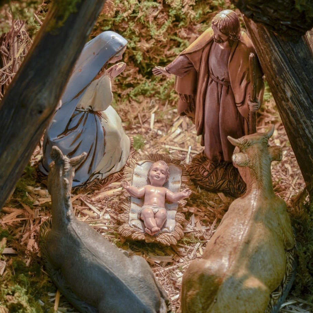Christmas Nativity Scene in a crib | Irish American Mom Statues of Mary, Joseph and the Baby Jesus with a sheep and cow