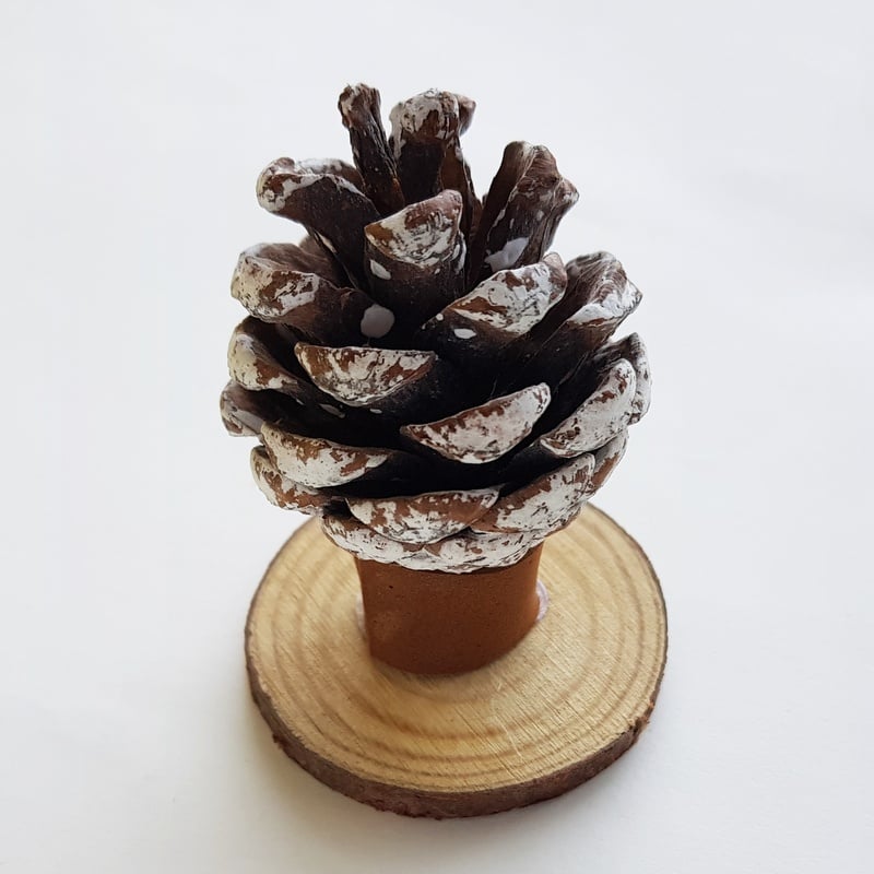 Pine cone decorates with snow on a wooden craft disc | Irish American Mom A snowy pine cone on a wooden craft disc for display purposes