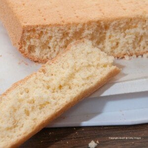 Slice cut from a yellow cake to reveal the texture