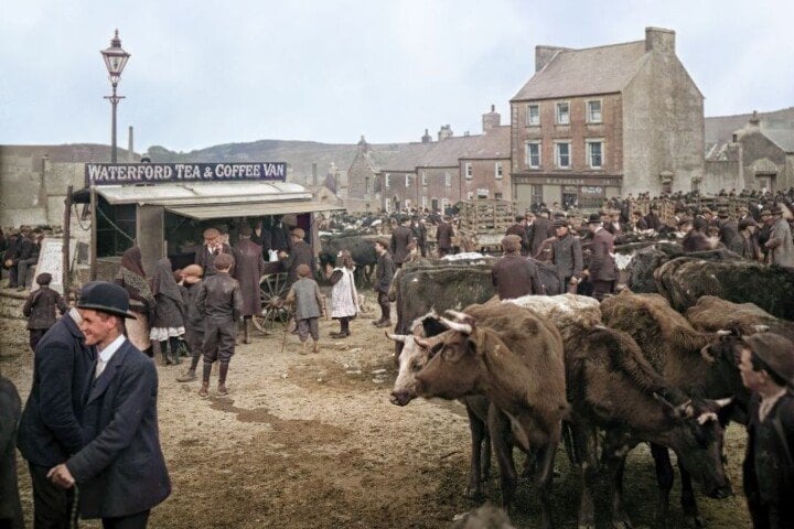 Ballybricken Fair Vintage Image in Color | Irish American Mom People at a cattle and horse fair vintage image