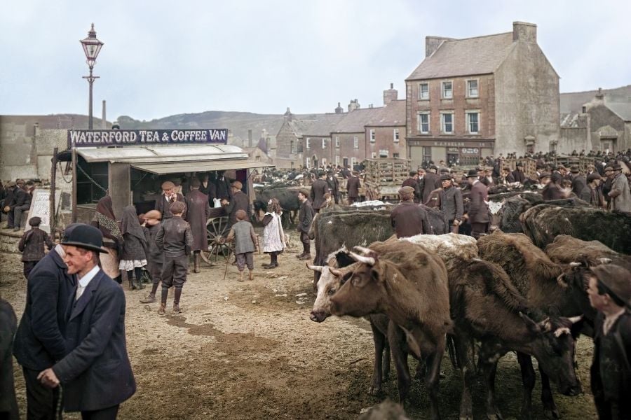 People at a cattle and horse fair vintage image
