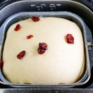 Dried fruit on bread dough in a bread machine